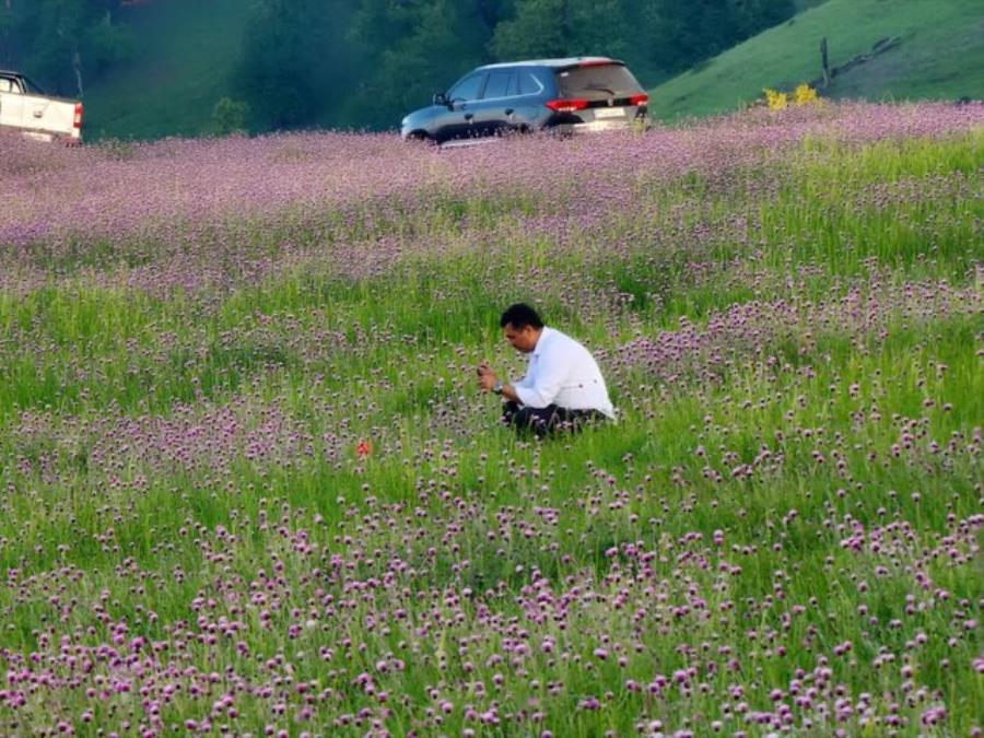 رالی گردشگری البرزشناسی برگزار می‌شود